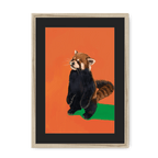 Red Panda OG Framed Print Food Fur & Feathers A3 (297 X 420 mm) / Natural / Black Mount Framed Print