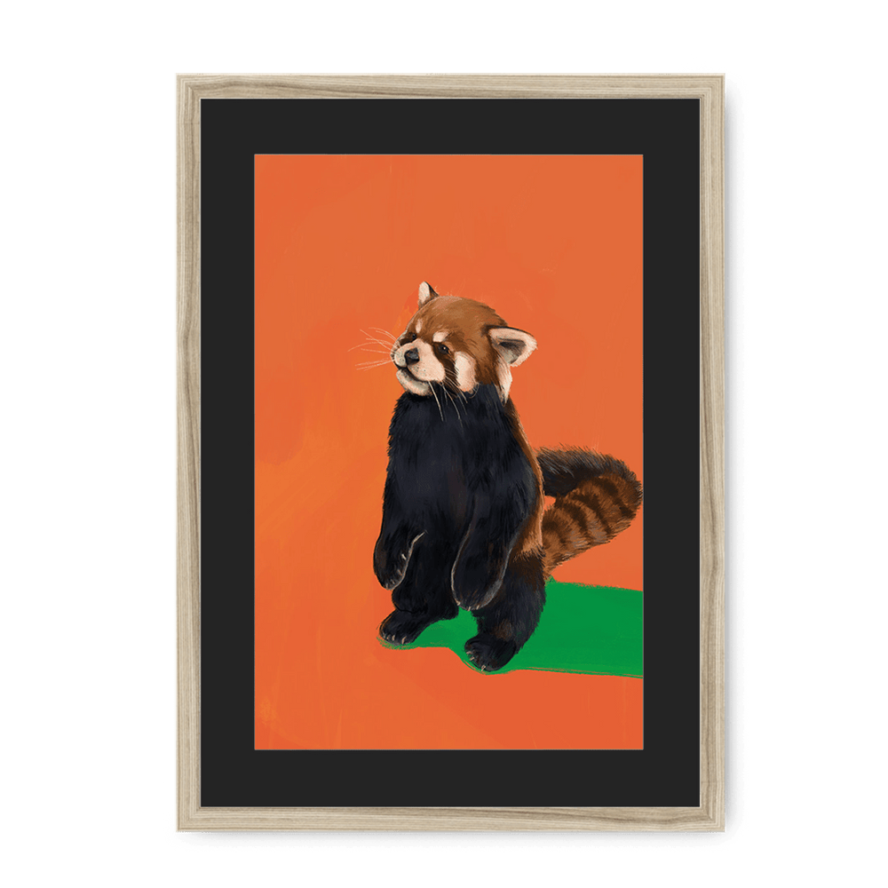 Red Panda OG Framed Print Food Fur & Feathers A3 (297 X 420 mm) / Natural / Black Mount Framed Print