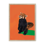 Red Panda OG Framed Print Food Fur & Feathers A3 (297 X 420 mm) / Natural / No Mount (All Art) Framed Print