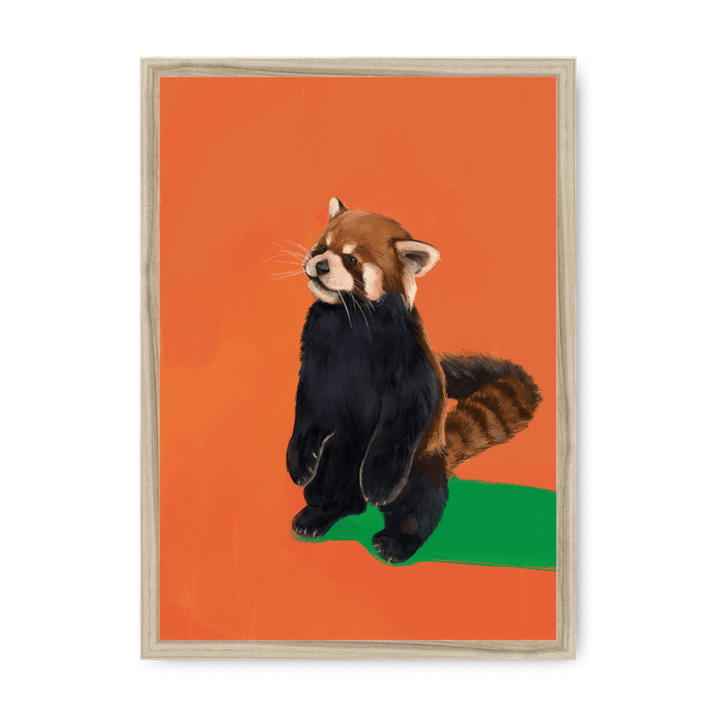 Red Panda OG Framed Print Food Fur & Feathers A3 (297 X 420 mm) / Natural / No Mount (All Art) Framed Print