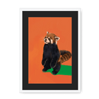 Red Panda OG Framed Print Food Fur & Feathers A3 (297 X 420 mm) / White / Black Mount Framed Print