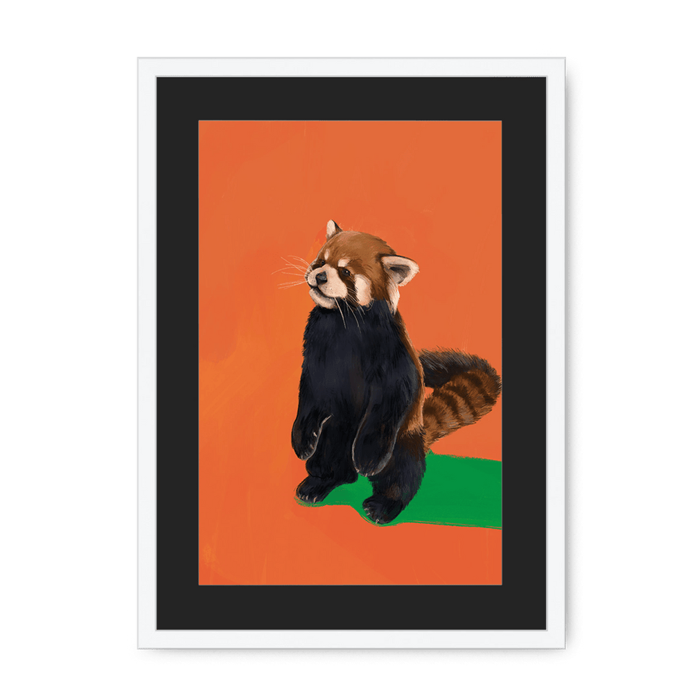 Red Panda OG Framed Print Food Fur & Feathers A3 (297 X 420 mm) / White / Black Mount Framed Print