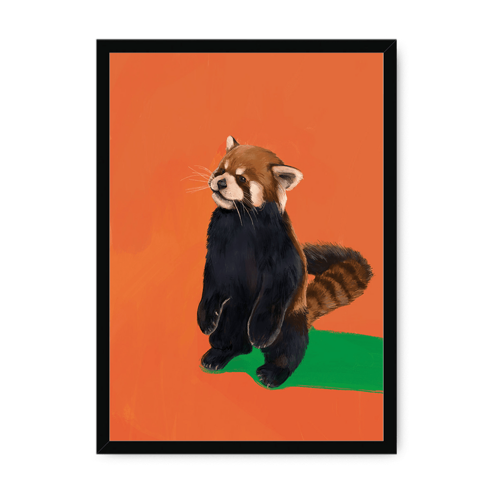 Red Panda OG Framed Print Food Fur & Feathers A3 (297 X 420 mm) / Black / No Mount (All Art) Framed Print