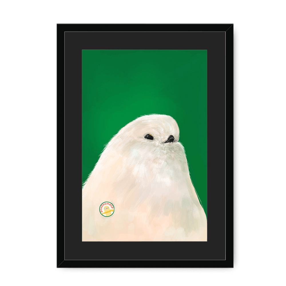 Profoundly Roundly Framed Print Food Fur & Feathers A3 (297 X 420 mm) / Black / Black Mount Framed Print