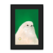 Profoundly Roundly Framed Print Food Fur & Feathers A3 (297 X 420 mm) / Black / Black Mount Framed Print