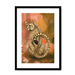 Spotted Repose Framed Print Pawky Paws A3 (297 X 420 mm) / Black / White Mount Framed Print