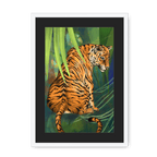 Jungle Stripes Framed Print Pawky Paws A3 (297 X 420 mm) / White / Black Mount Framed Print
