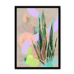 Tropic Pop Framed Print Heat Flares A3 (297 X 420 mm) / Black / No Mount (All Art) Framed Print