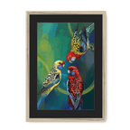 Rondel Of Rosellas Framed Print The Gathering A3 (297 X 420 mm) / Natural / Black Mount Framed Print