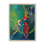 Rondel Of Rosellas Framed Print The Gathering A3 (297 X 420 mm) / Natural / No Mount (All Art) Framed Print