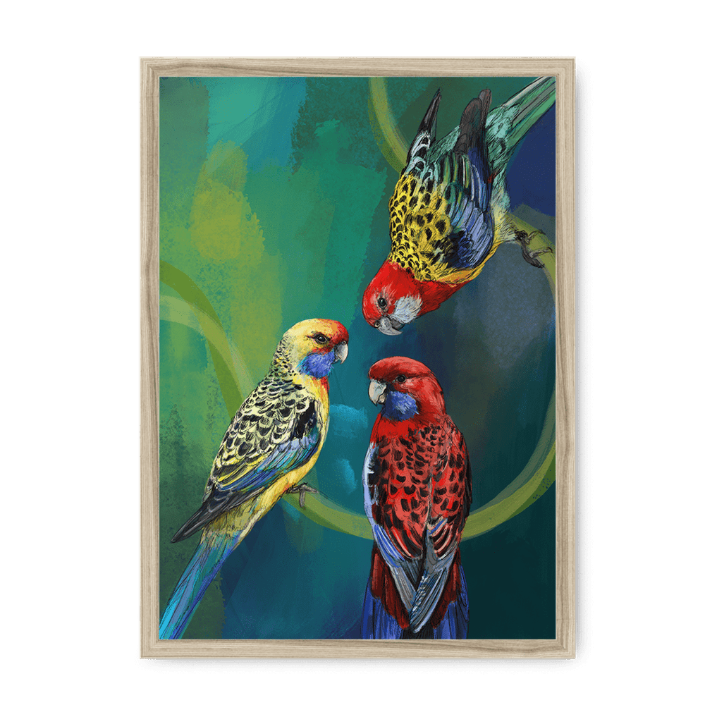 Rondel Of Rosellas Framed Print The Gathering A3 (297 X 420 mm) / Natural / No Mount (All Art) Framed Print