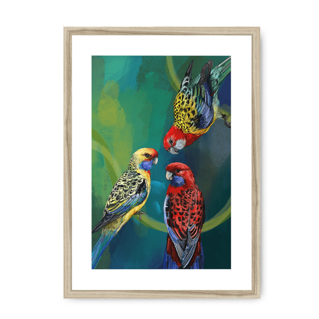 Rondel Of Rosellas Framed Print The Gathering A3 (297 X 420 mm) / Natural / White Mount Framed Print