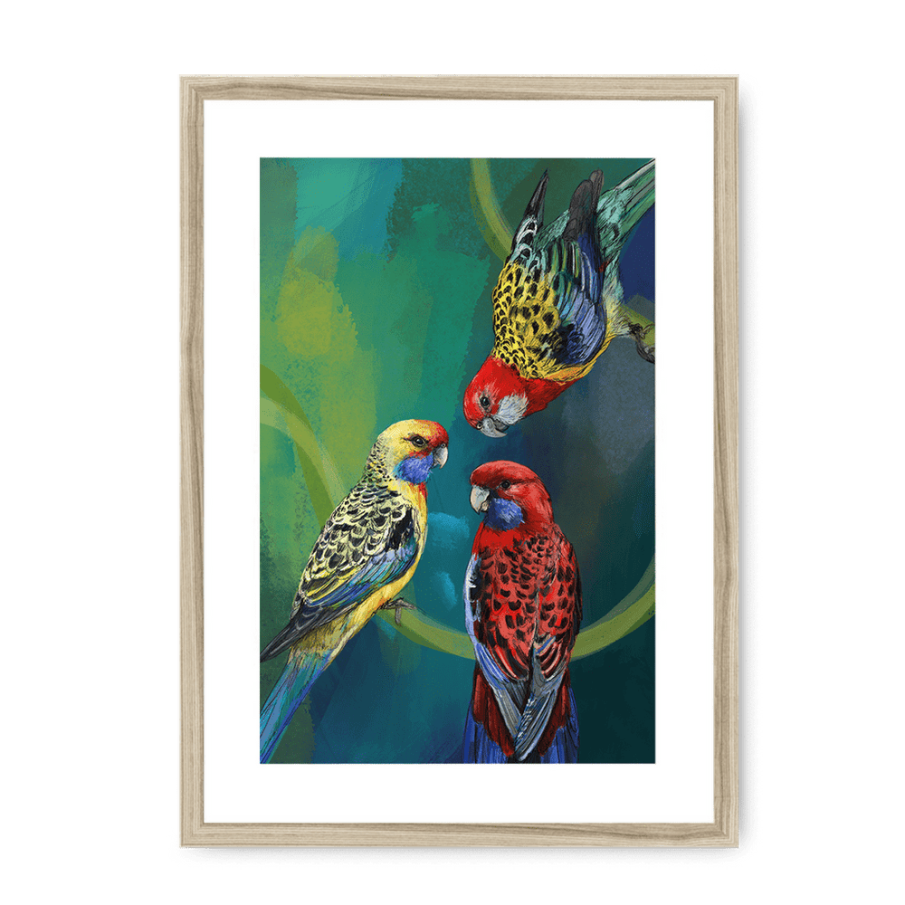 Rondel Of Rosellas Framed Print The Gathering A3 (297 X 420 mm) / Natural / White Mount Framed Print