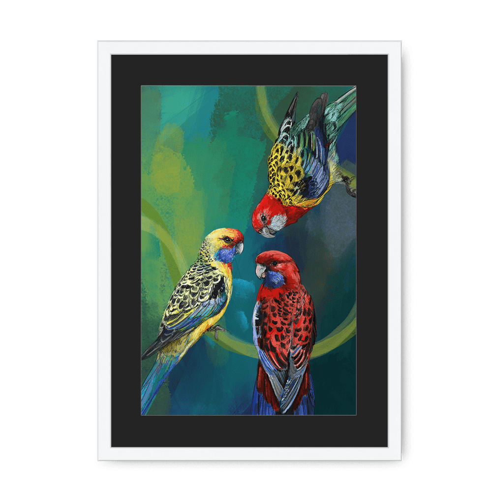 Rondel Of Rosellas Framed Print The Gathering A3 (297 X 420 mm) / White / Black Mount Framed Print