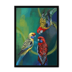 Rondel Of Rosellas Framed Print The Gathering A3 (297 X 420 mm) / Black / No Mount (All Art) Framed Print