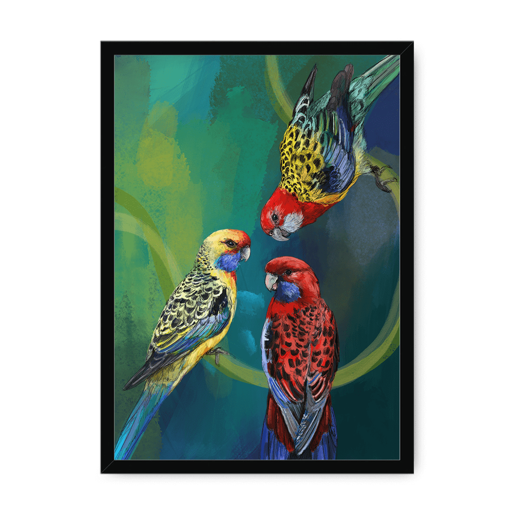 Rondel Of Rosellas Framed Print The Gathering A3 (297 X 420 mm) / Black / No Mount (All Art) Framed Print