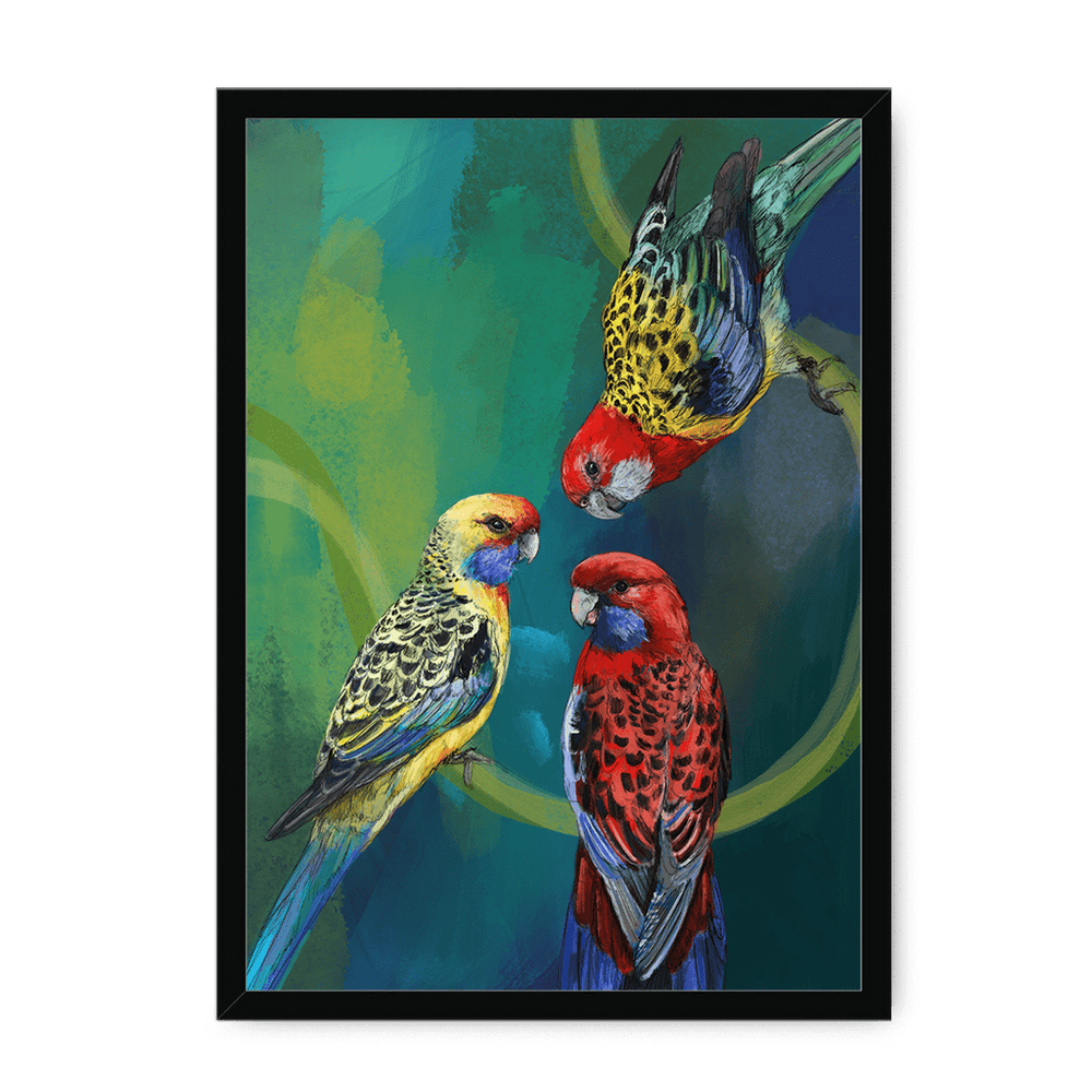 Rondel Of Rosellas Framed Print The Gathering A3 (297 X 420 mm) / Black / No Mount (All Art) Framed Print