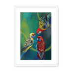 Rondel Of Rosellas Framed Print The Gathering A3 (297 X 420 mm) / White / White Mount Framed Print