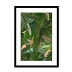 Fougère Fou Framed Print WallFlowers A3 (297 X 420 mm) / Black / White Mount Framed Print