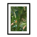 Fougère Fou Framed Print WallFlowers A3 (297 X 420 mm) / Black / White Mount Framed Print