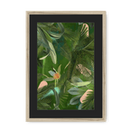 Fougère Fou Framed Print WallFlowers A3 (297 X 420 mm) / Natural / Black Mount Framed Print