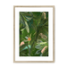 Fougère Fou Framed Print WallFlowers A3 (297 X 420 mm) / Natural / White Mount Framed Print