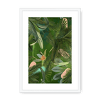 Fougère Fou Framed Print WallFlowers A3 (297 X 420 mm) / White / White Mount Framed Print