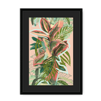 Ruby Rubber Jungle Framed Print WallFlowers A3 (297 X 420 mm) / Black / Black Mount Framed Print