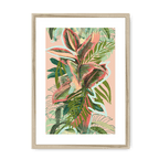 Ruby Rubber Jungle Framed Print WallFlowers A3 (297 X 420 mm) / Natural / White Mount Framed Print
