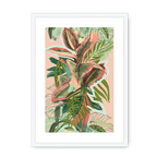 Ruby Rubber Jungle Framed Print WallFlowers A3 (297 X 420 mm) / White / White Mount Framed Print