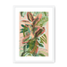 Ruby Rubber Jungle Framed Print WallFlowers A3 (297 X 420 mm) / White / White Mount Framed Print