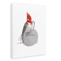 Red Crested Cardinal Canvas Print Drippy Birds 28"x40"(70x100 cm) Canvas Print