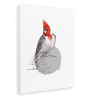 Red Crested Cardinal Canvas Print Drippy Birds 28"x40"(70x100 cm) Canvas Print