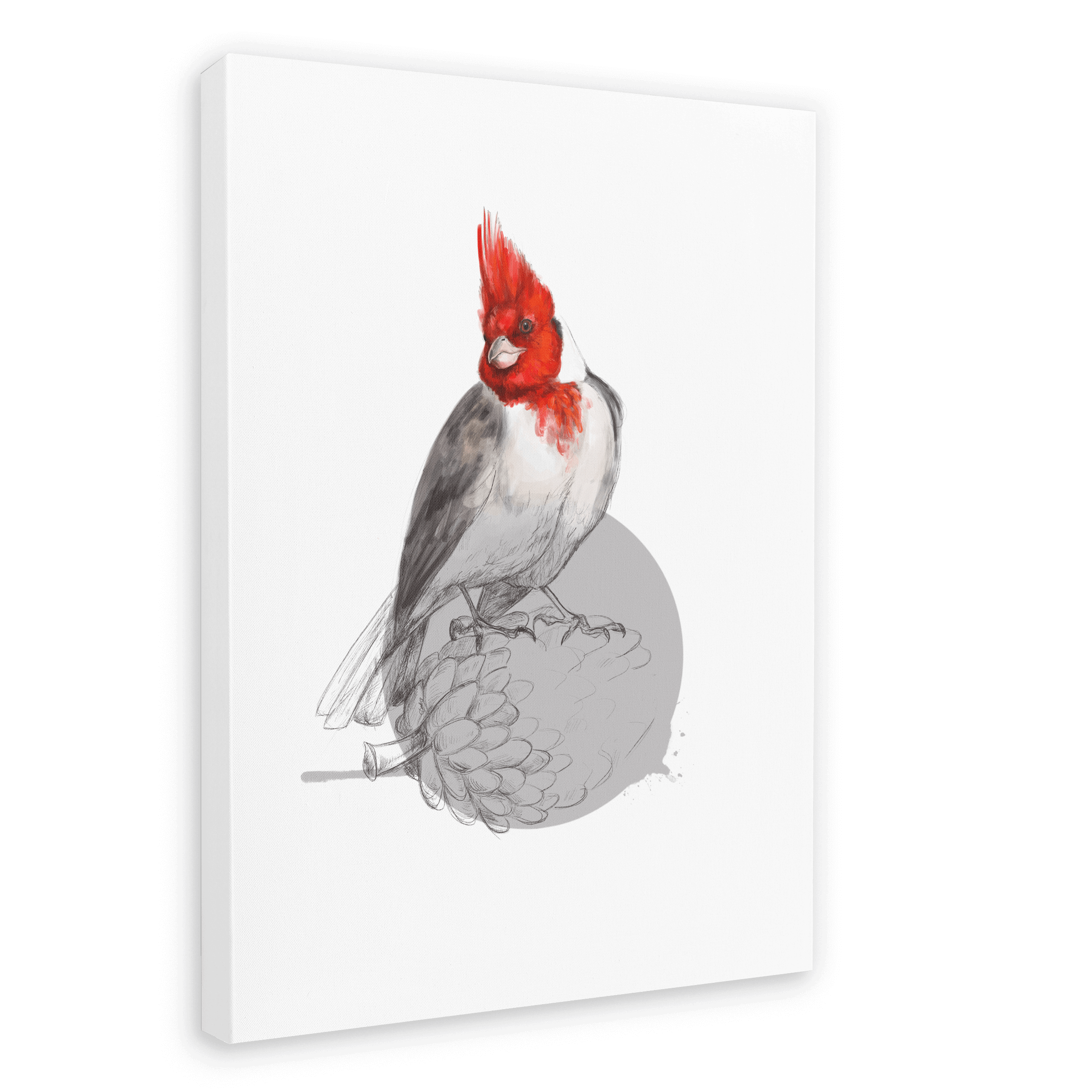 Red Crested Cardinal Canvas Print Drippy Birds 28"x40"(70x100 cm) Canvas Print