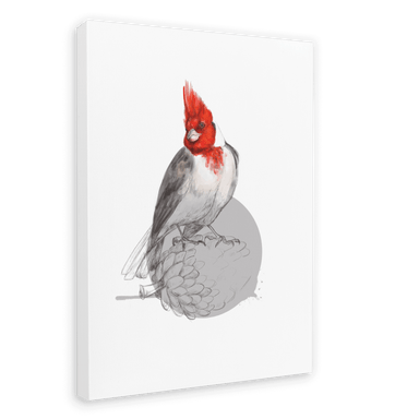 Red Crested Cardinal Canvas Print Drippy Birds 28"x40"(70x100 cm) Canvas Print