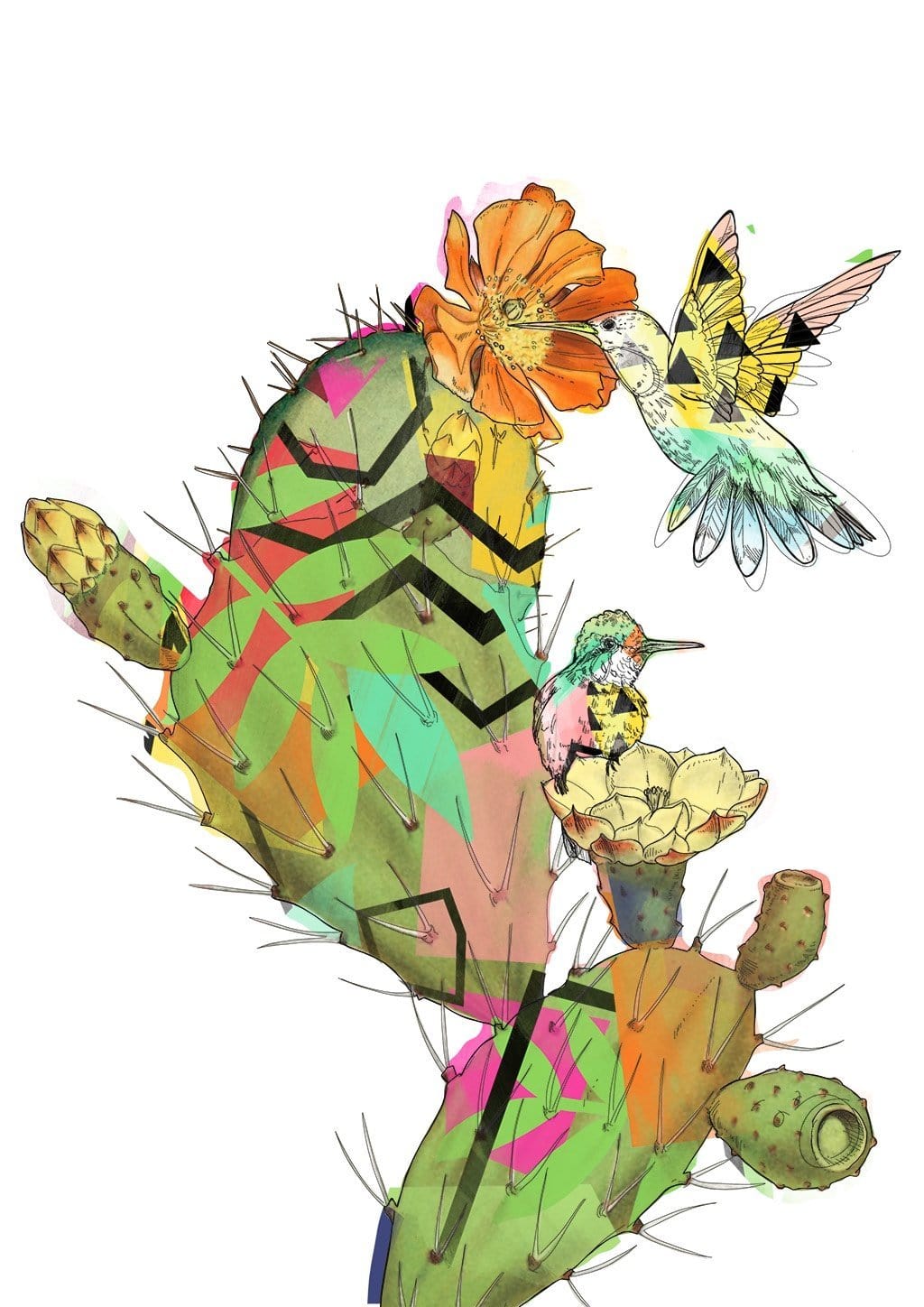 Hummingbird Cactus Matte Art Print Collage Corner Art Print