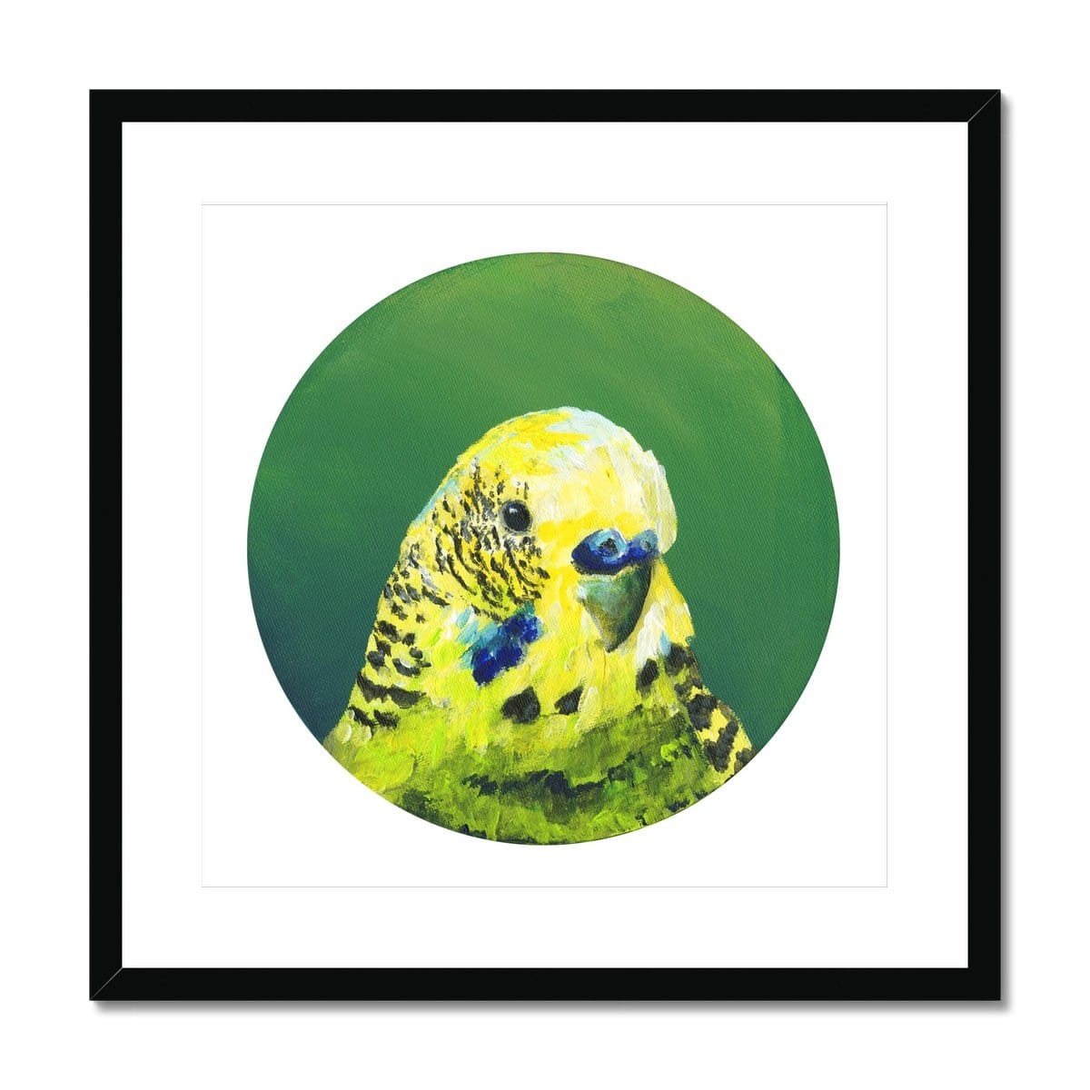 Green Budgie Framed & Mounted Print Exotic Bird Paintings 20"x20" / Black Frame Mounted Print