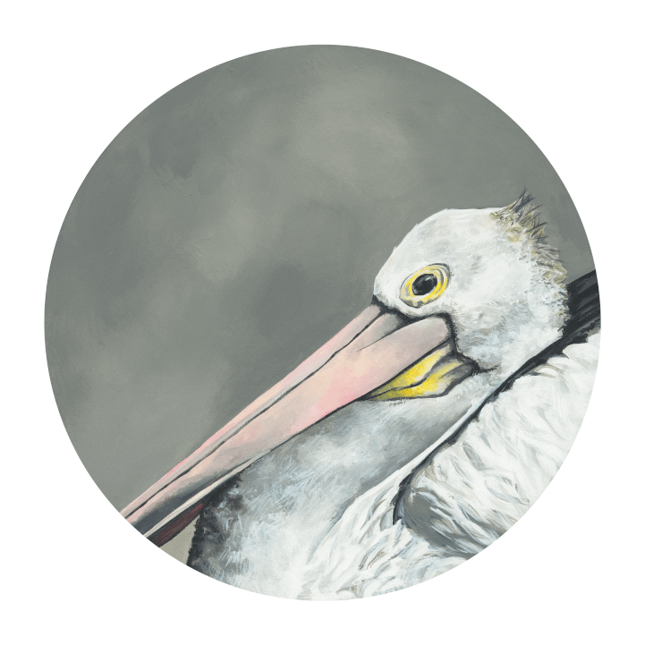 Pelican Giclée Art Print Exotic Bird Paintings 8" Square (20.32 X 20.32 cm) Square GIclee Art Print