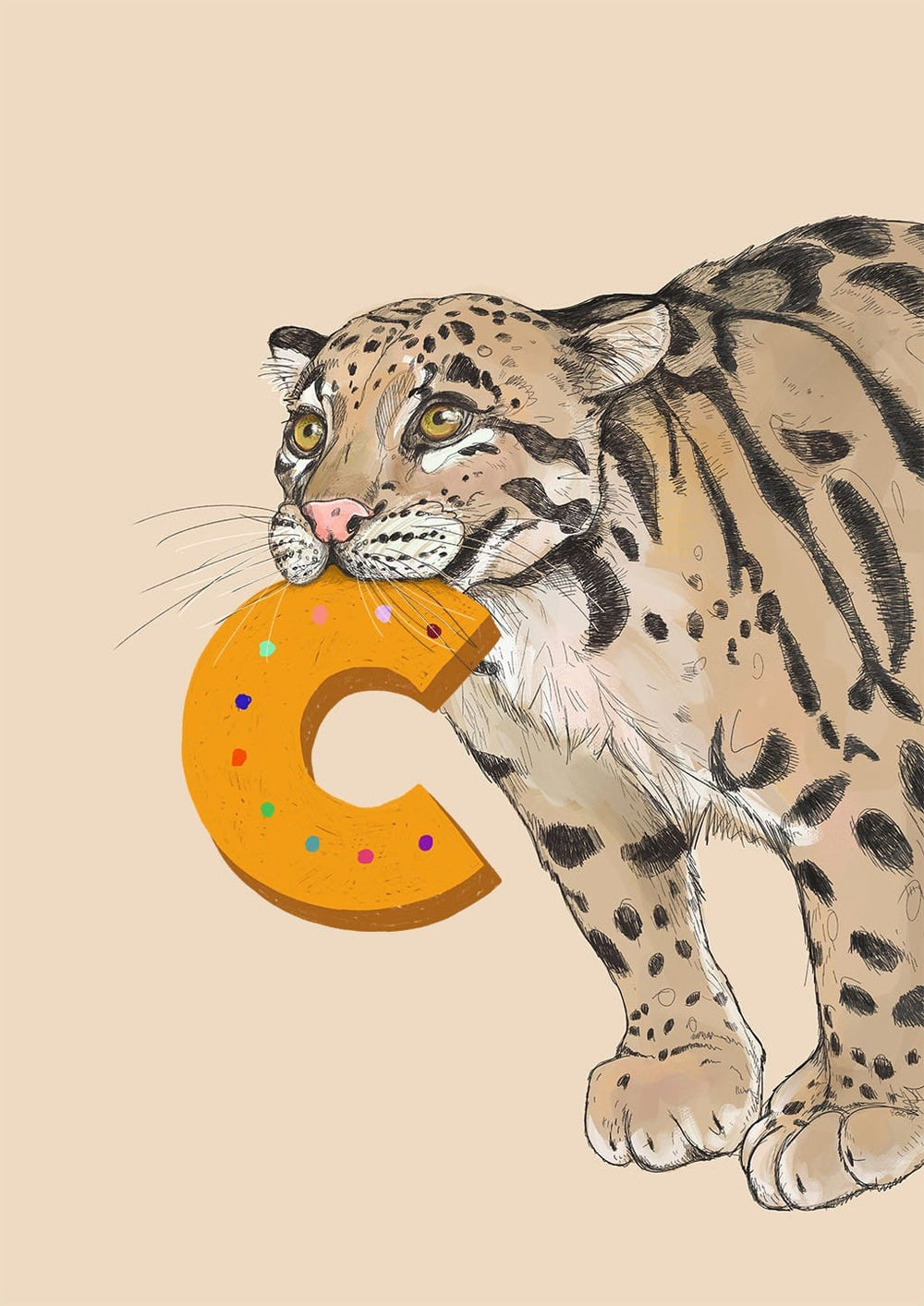 Alphapard Art Print Alphapard C / A4 (21 X 29.7 cm) Art Print