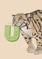 Alphapard Art Print Alphapard Art Print