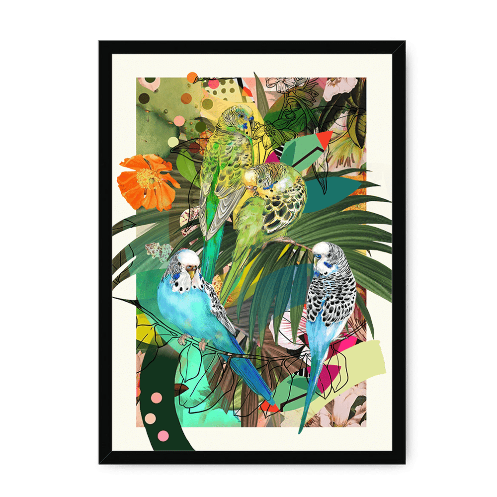 Blooming Budgerigars Matte Framed Print The Gathering A4 Portrait / Black Frame Framed Print