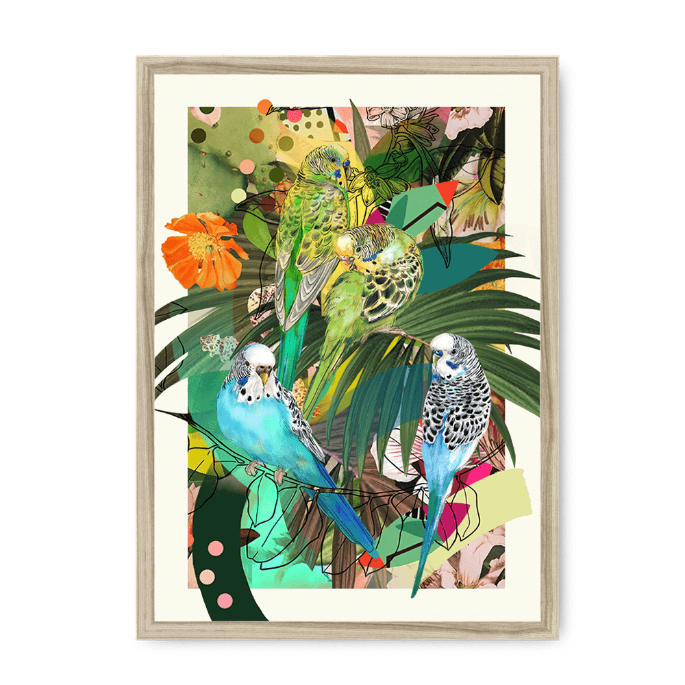 Blooming Budgerigars Matte Framed Print The Gathering A4 Portrait / Natural Frame Framed Print