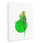 Budgie Canvas Print Drippy Birds 28"x40"(70x100 cm) Canvas Print