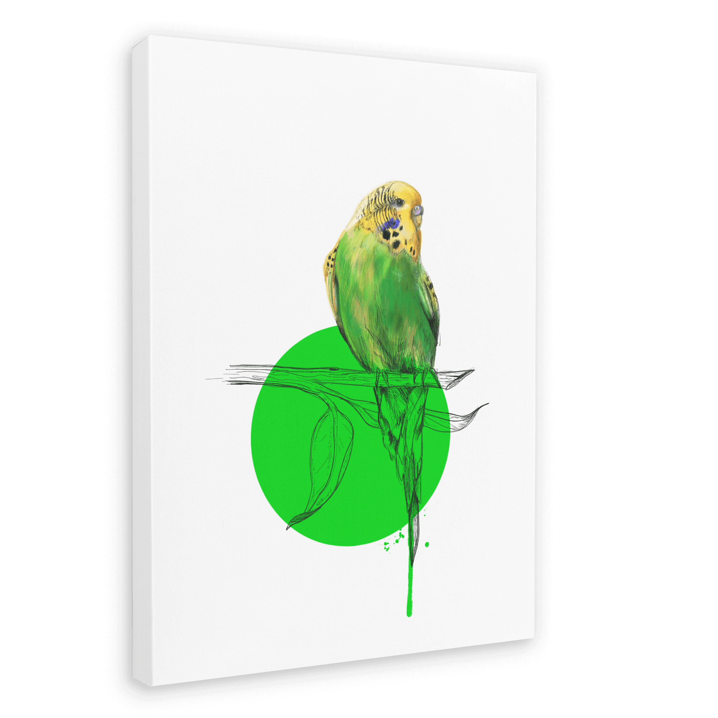 Budgie Canvas Print Drippy Birds 28"x40"(70x100 cm) Canvas Print