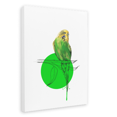 Budgie Canvas Print Drippy Birds 28"x40"(70x100 cm) Canvas Print