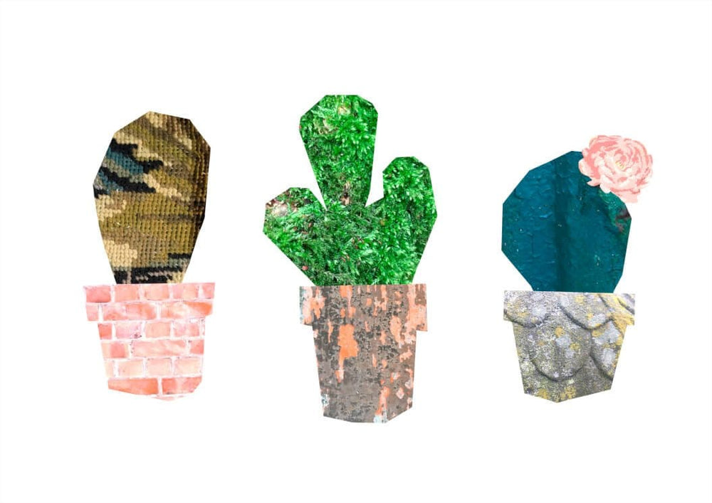 3 Cactus Collage Matte Art Print Collage Corner A4 (21 X 29.7 cm) Art Print