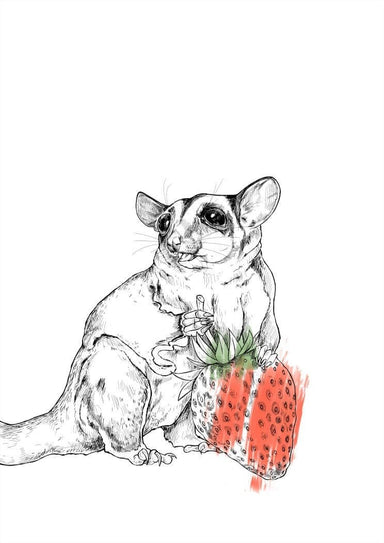 Strawberry Sugar Glider Matte Art Print Food Fur & Feathers A4 (21 X 29.7 cm) Art Print