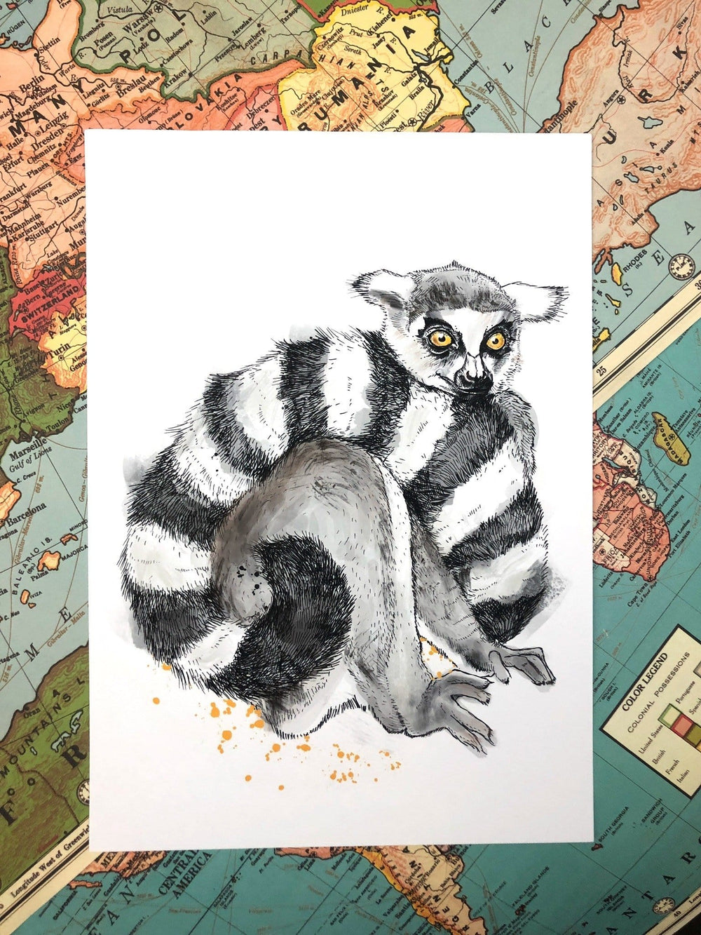 Lemur Matte Art Print Fluffy Tails & a Sloth A4 (21 X 29.7 cm) Art Print