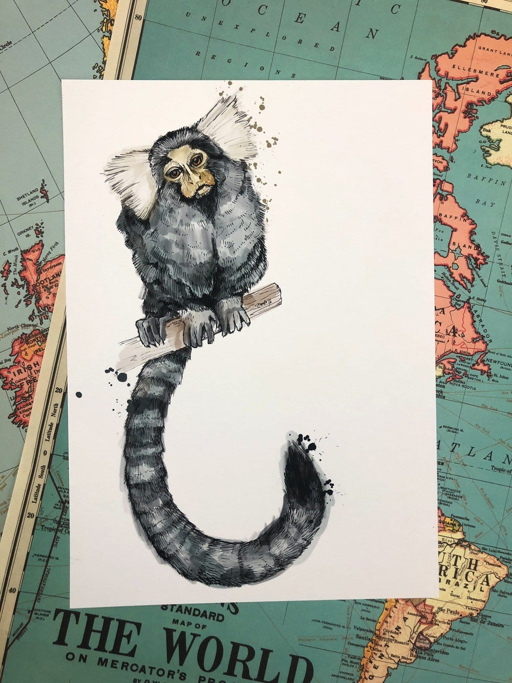 Marmoset Matte Art Print Fluffy Tails & a Sloth A4 (21 X 29.7 cm) Art Print