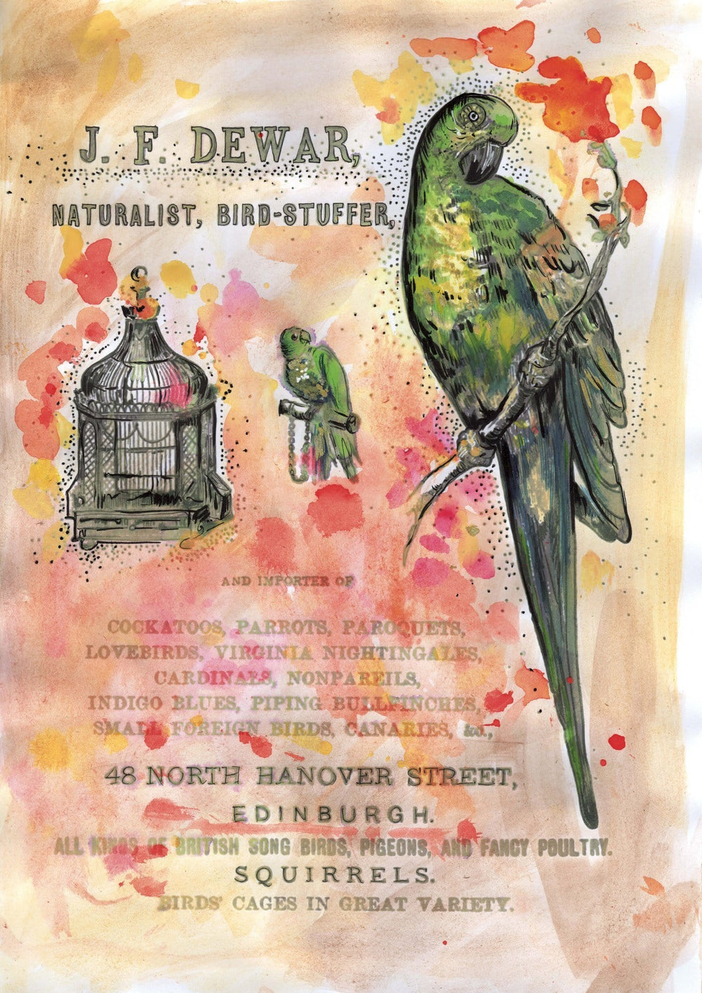 Bird Stuffer Matte Art Print Collage Corner A4 (21 X 29.7 cm) Art Print